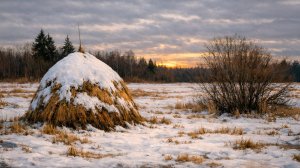 Филлпов Владимир Викторович - Вышний Волочёк, Новые Котчище, р. Мста
