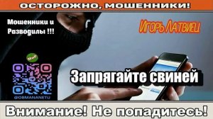 Мошенники звонят по телефону _ Запрягайте свиней  ( сборник ).