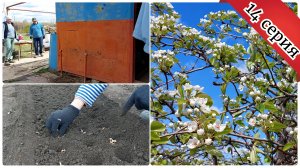 Работаем плодотворно на даче / Взялись за домик / Посадила укроп, лук и клубнику 😋 14 серия