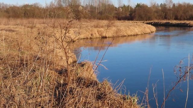 Ижора и её обитатели 9 апреля 2026