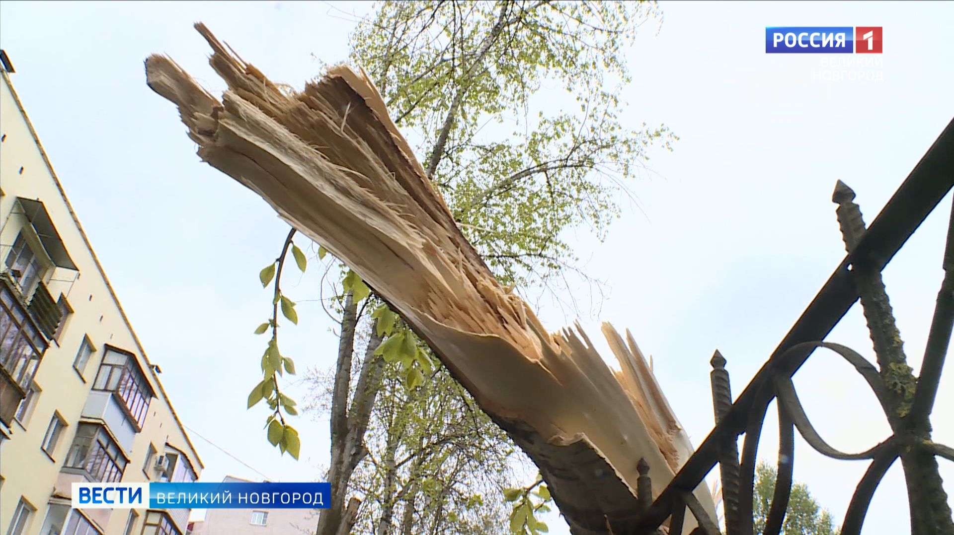 ГТРК СЛАВИЯ Вести Великий Новгород 27.04.26