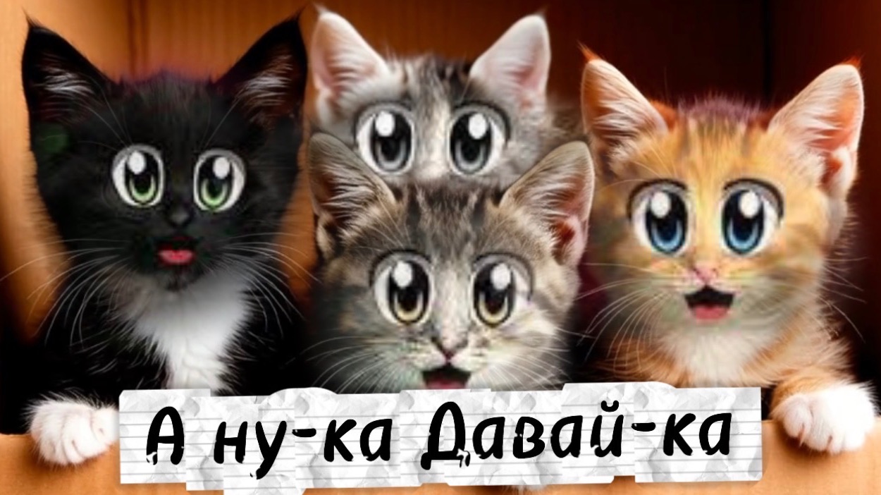 А ну-ка Давай-ка. Бездомные котята