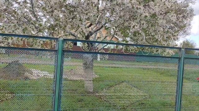 24 апреля 2026 Опять холодно