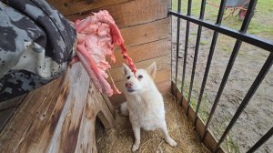 Всё меняется