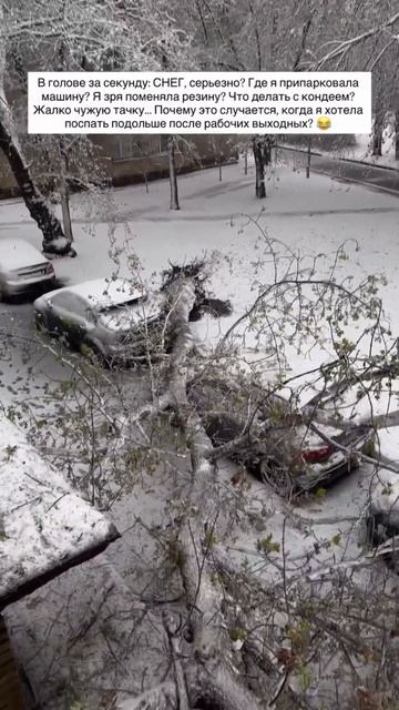 Апрельский снегопад накрыл Москву и Подмосковье (3)
