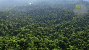 Стихи над миром. Стихотворения Зинаиды Миркиной