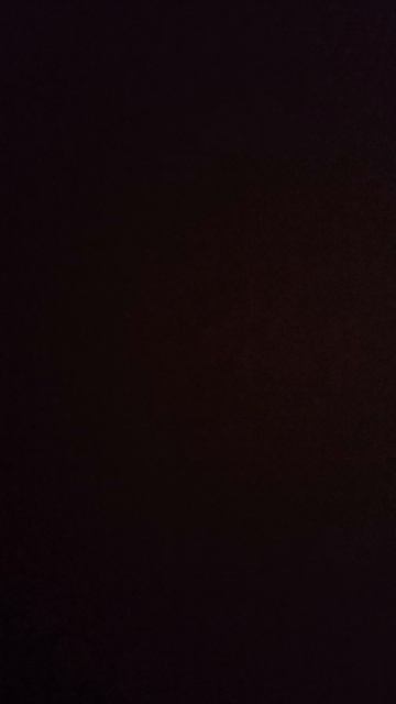 27.04.26 за час до сна сожитель карликовой лошади сверху скочет