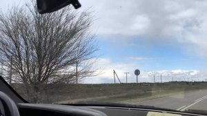 Петя будет выводить. 🐝🐝🐝Поехали по магазинам 🚗