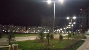 Ночной городской пейзаж  Обустроенная зеленая зона декоративные светодиодные фигуры