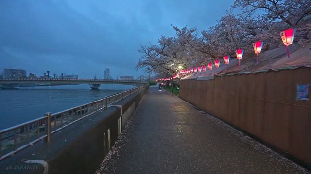 🇯🇵 Токио, Япония - дождливая ночная прогулка / 2026