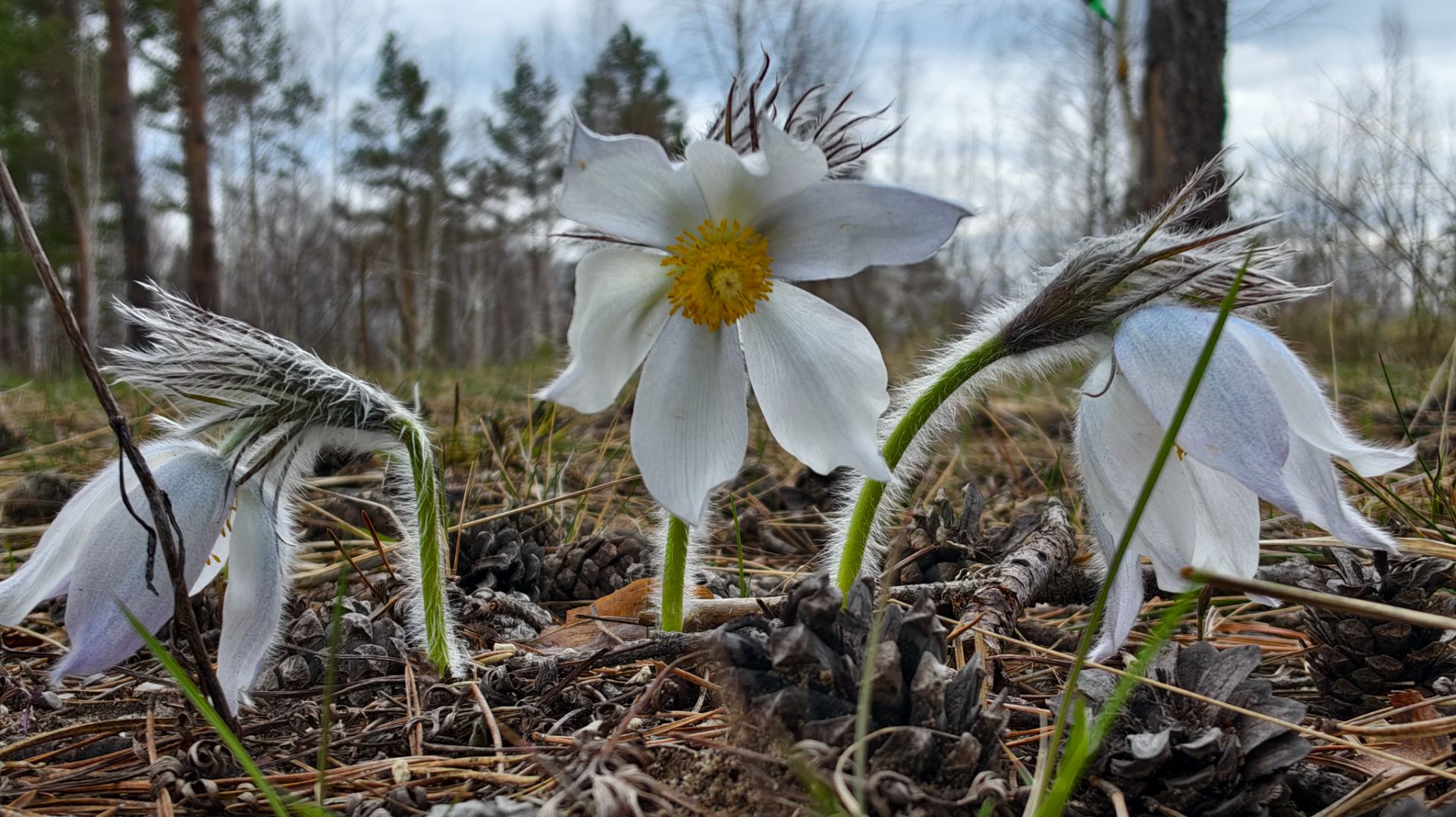Апрельский сплав по Малому Кундышу на пакрафтах