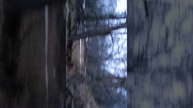 # я на охоте.