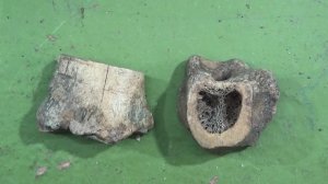 Неоконченное орудие кожевника из раскопа на Петровском бульваре