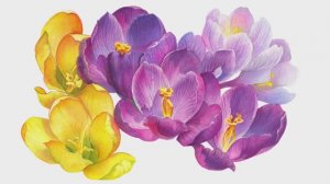 МАСТЕР-КЛАСС ПО БОТАНИЧЕСКОМУ ИСКУССТВУ 🌸 Крокус 🌼 Как нарисовать весенние цветы акварелью
