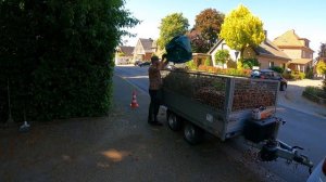 ПЫТАЛСЯ БЛАГОУСТРОИТЬ ПАЛИСАДНИК, но хозяева РЕШИЛИ сделать ПО-СВОЕМУ