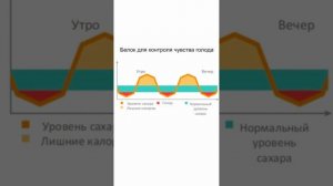 Белок учебный ролик