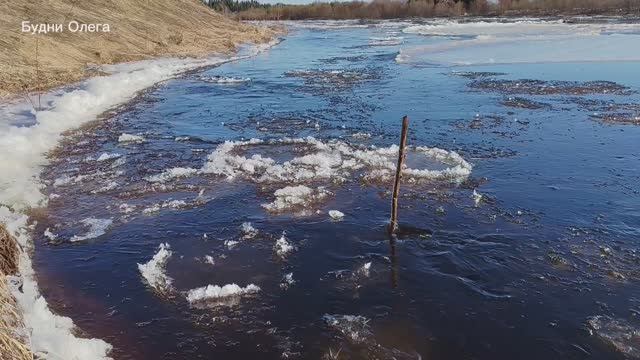 Весенняя шуга идёт по всей реке. Новости с реки 21.04.26