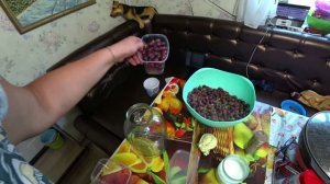 Влог от 21.08.2022