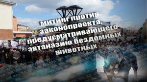 Митинг против эфтаназии бездомных животных