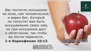 МИЛОВАТЬ | Дмитрий Тарасов