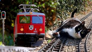 Весенняя уборка и техническое обслуживание садовой железной дороги. 😺