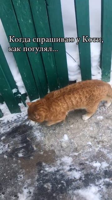 Автор видео: Smirnaginaolga