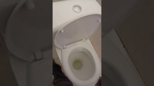 VID_20260426_161505 Проверка кнопки сливного бочка после ремонта на залипание