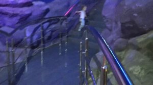 Влог Океанариум： Настя первый раз увидела АКУЛУ