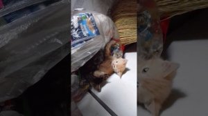 Как вам такое :) Вы приглядитесь внимательно