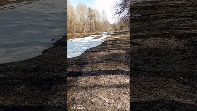 Видео вчерашнее . Ездили в лес 🤭. Приятного просмотра 😉