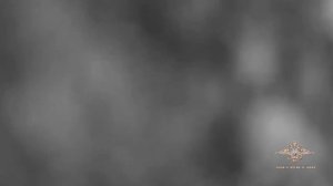 В Республике Алтай задержан нетрезвый водитель, протащивший инспектора ДПС по асфальту