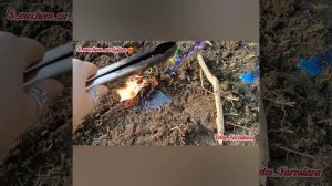 🌈🚀 ОТКРЫВАЕМ ПУТИ ДОРОГИ ПО 8МИ СТОРОНАМ СВЕТА🌞