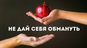 Андрей Каталевич «НЕ ДАЙ СЕБЯ ОБМАНУТЬ»