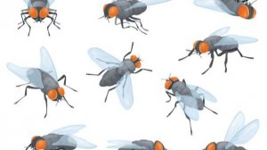 БОРЬБА💥  ВРЕДНЫЕ НАСЕКОМЫЕ💥   ПОДПИШИСЬ💯