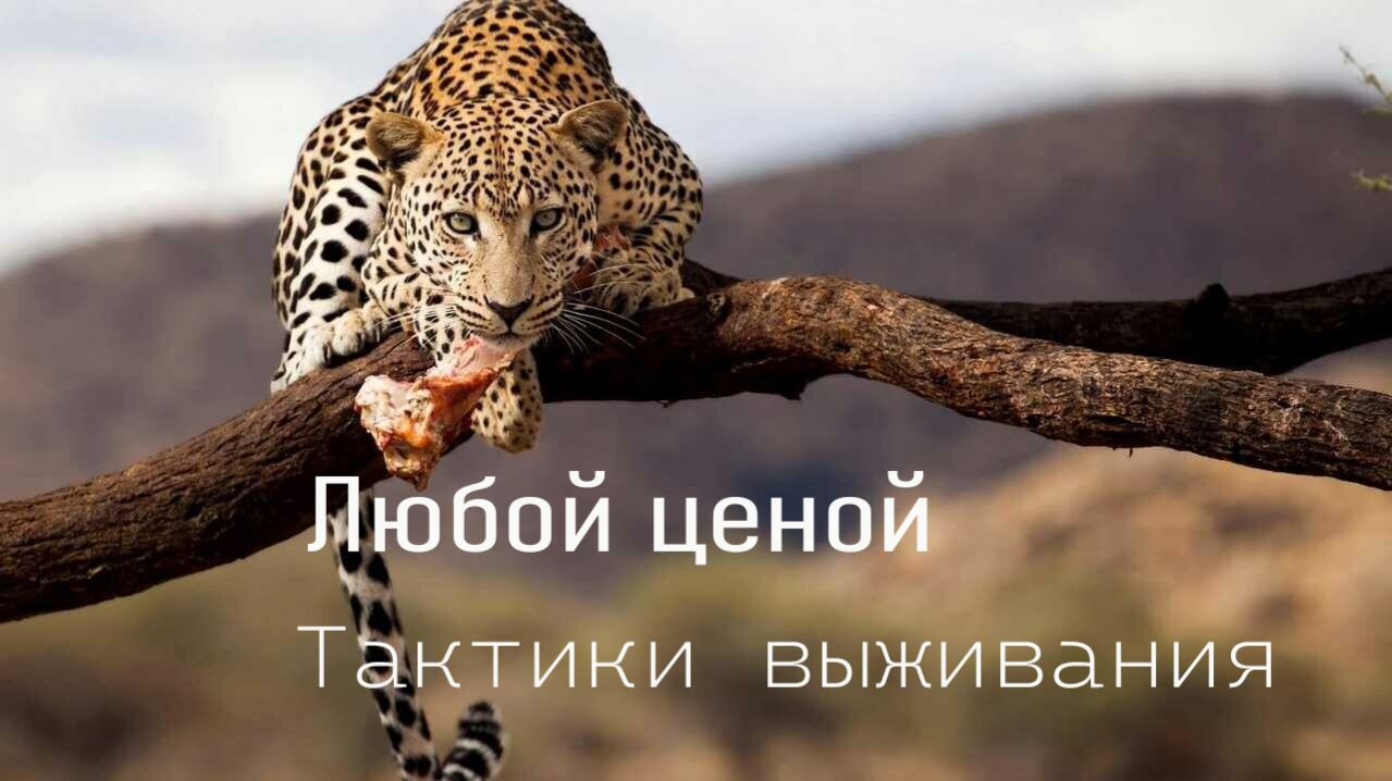 🦎Любой ценой 🐸Тактики выживания🐆от которых мурашки по коже
