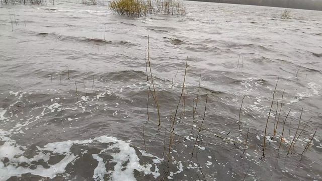 Ого р.Ока.Волна! Ветер! Холодно! Дождь! Мокрый снег! 27.04.2026г.13ч.00 мин.