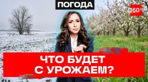 Все погибло? Что будет с урожаем после апрельских снегопадов?
