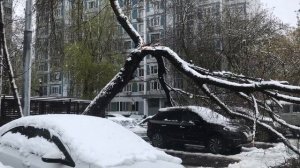 Ледяной дождь и аномальный снегопад в Москве 27 апреля 2026