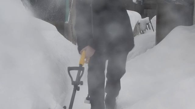 МОЯ  ЭЛЕКТРИЧЕСКАЯ  МИНИ  ЛОПАТА  ДЛЯ  СНЕГА.  Постановка  Александра  Белых.  2021 год