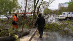 На Самару обрушились ливень и ураганный ветер