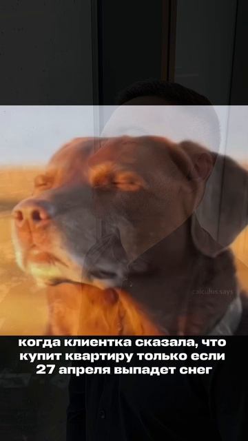 А не надо было такое говорить...