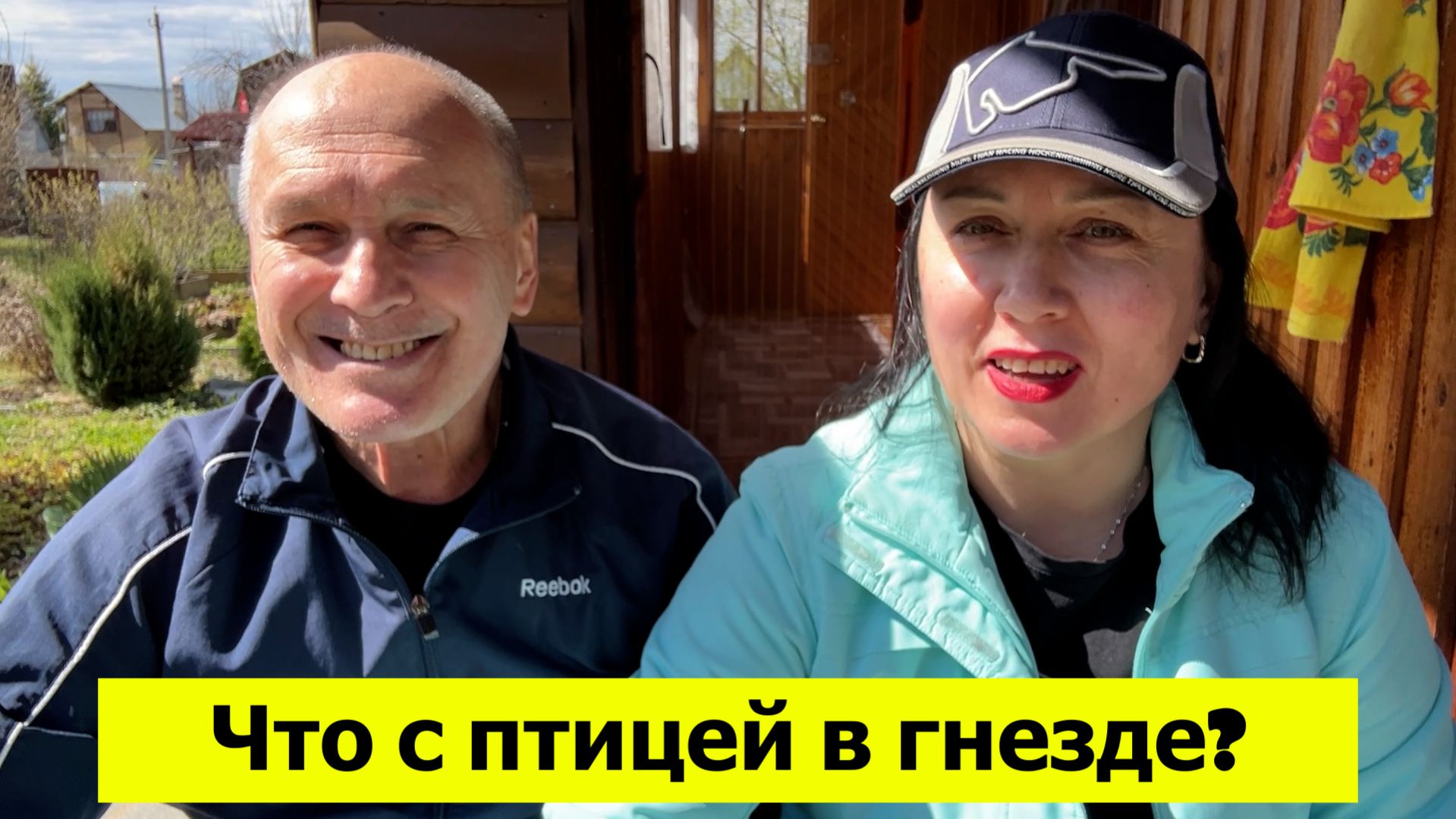 Что с птицей в гнезде? Купила саженцы, таскаем перегной. Короткая поездка на дачу
