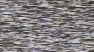 День Рождения Аналог Хоррор 2 сезон Часть 1