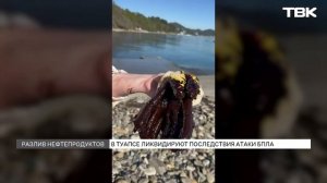 Черные дожди, сажа на улицах и нефть на побережье: по следствия экологической катастрофы в Туапсе