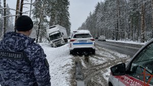 Росгвардейцы оказали помощь пострадавшим в массовом ДТП в Московской области