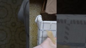 травник за три часа 💀🪨🪨