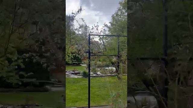 прогулка по цветущим садам 
Химки Подмосковье 
байки степного садовника