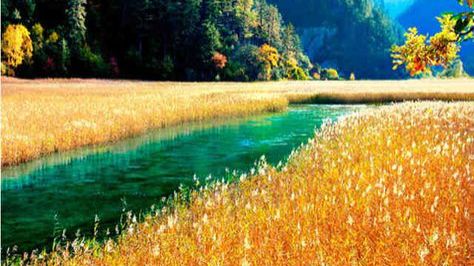 Коран на русском языке сура 027. Муравьи ( Ан-Намл )