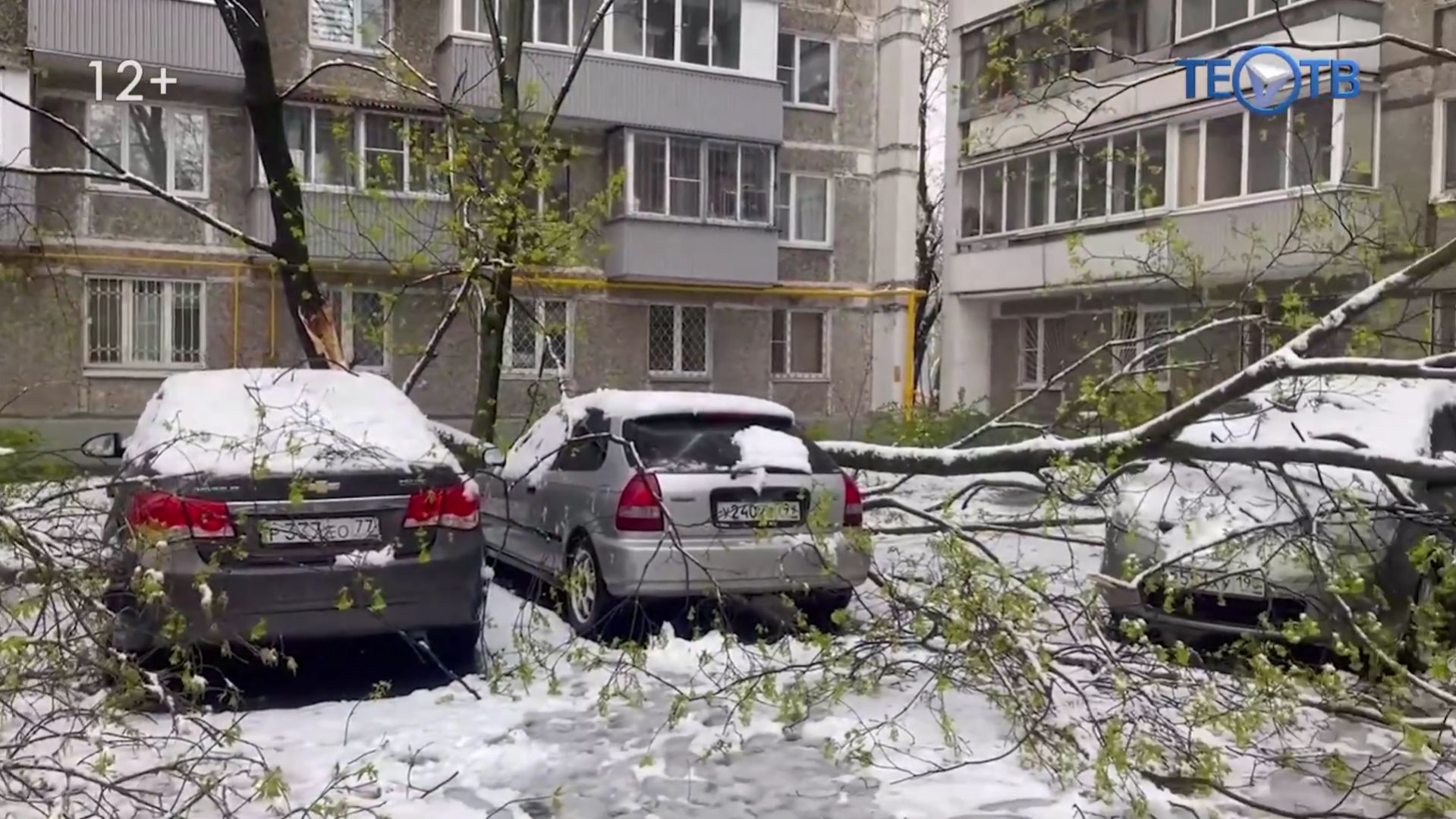 В Москву в апреле пришла зима…