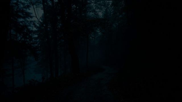 video_Анна Каренина, Эпизод 103